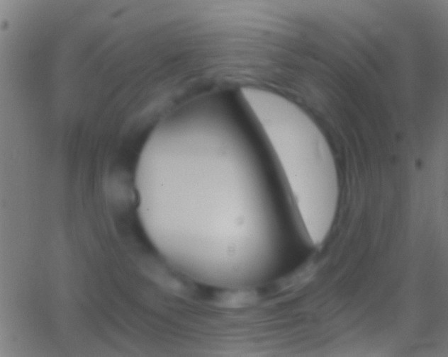 X0000062870135200601131020