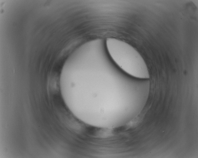 X0000062870138200601131020