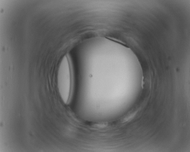 X0000062870139200601131020