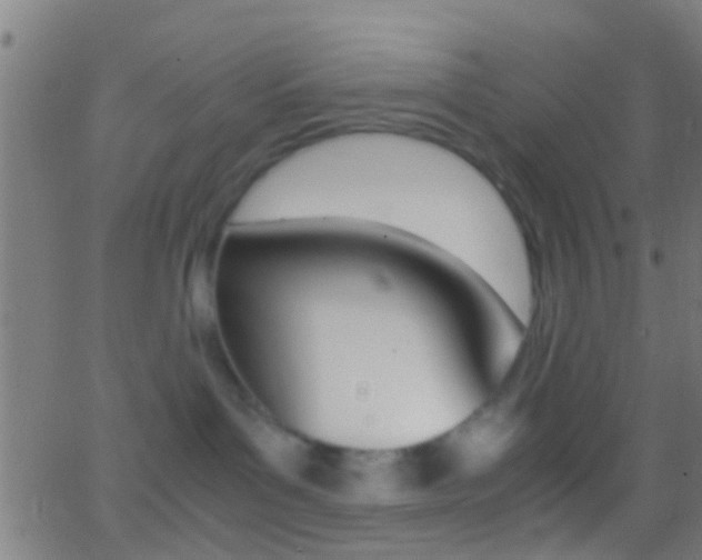 X0000062870143200601131020