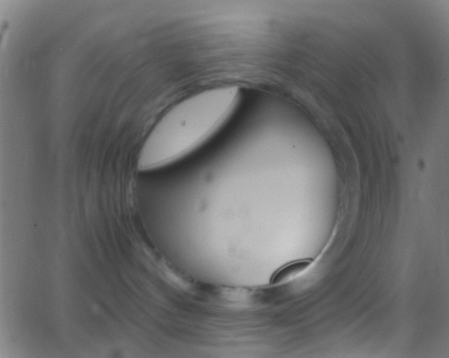 X0000062870144200601131020