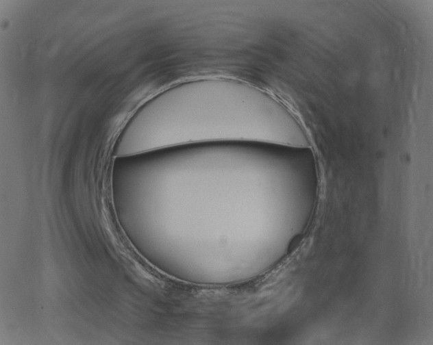 X0000062870145200601131020