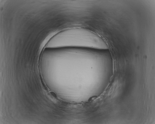 X0000062870147200601131020