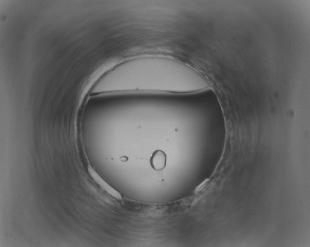 X0000062870148200601131020