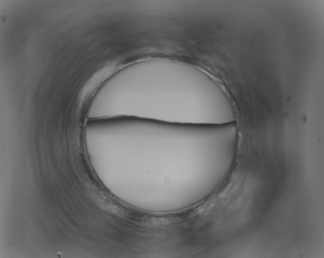 X0000062870149200601131020