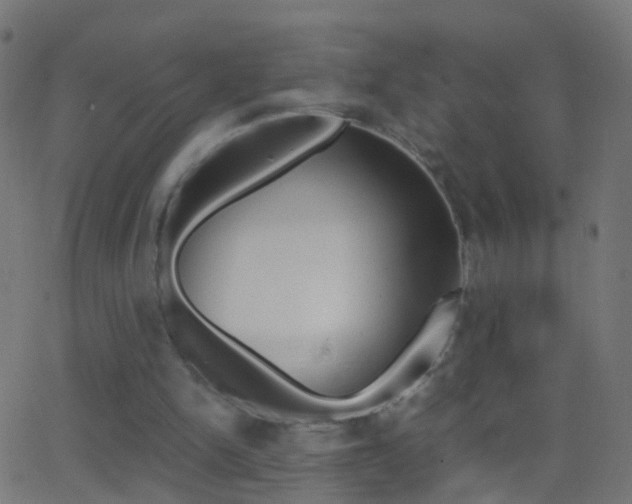 X0000062870150200601131020