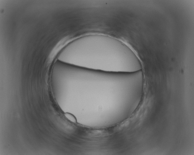 X0000062870151200601131020