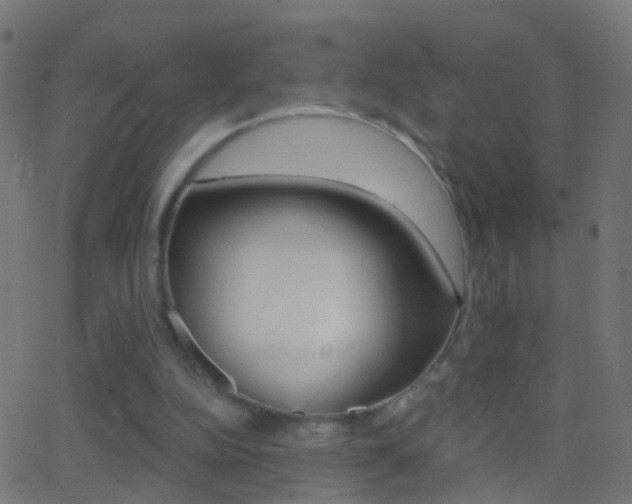 X0000062870152200601131020