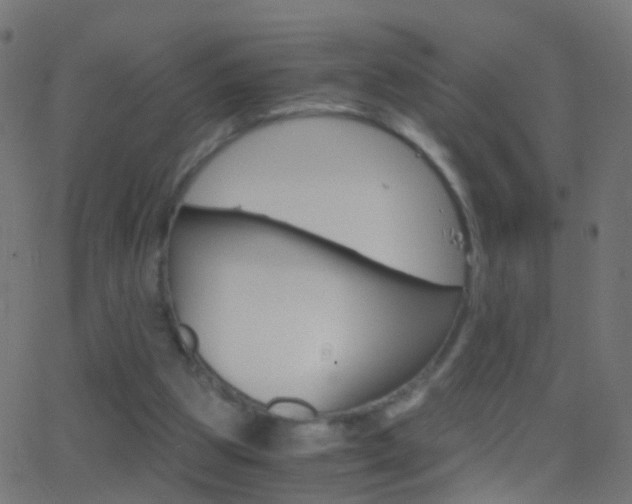 X0000062870153200601131020