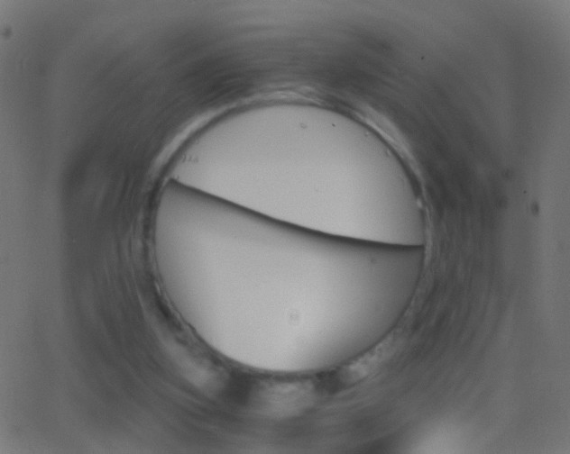 X0000062870155200601131020