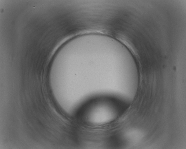 X0000062870156200601131020