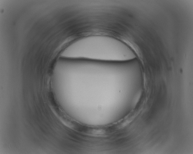 X0000062870157200601131020