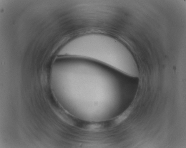 X0000062870158200601131020