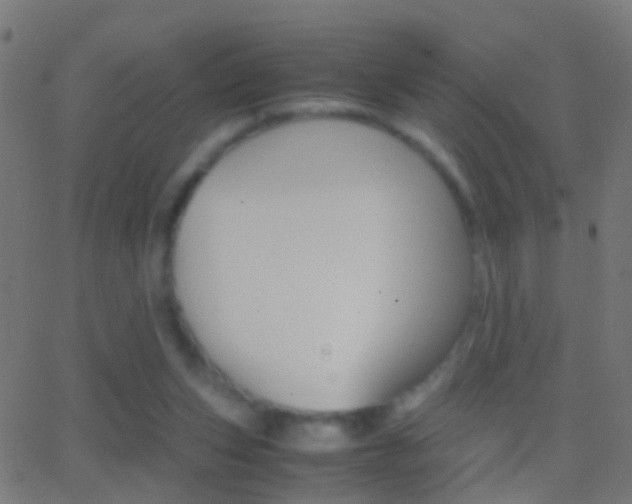 X0000062870159200601131020