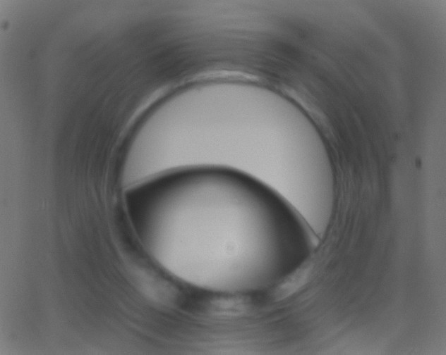 X0000062870160200601131020