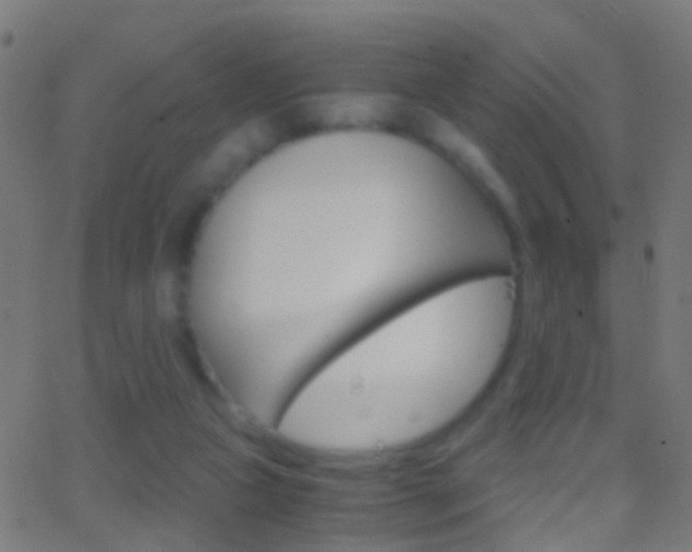 X0000062870161200601131020