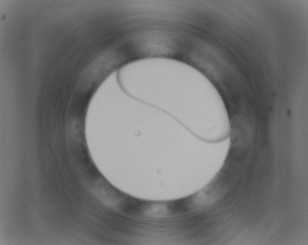 X0000062870162200601131020