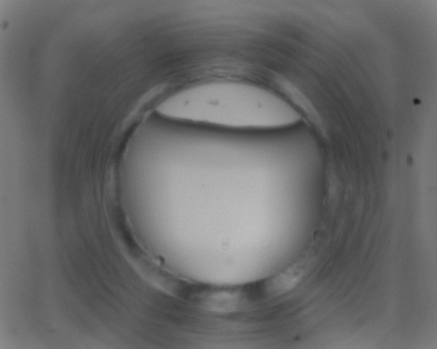 X0000062870163200601131020