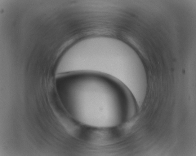 X0000062870164200601131020