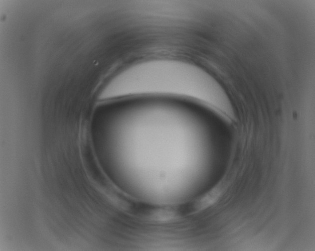 X0000062870168200601131020