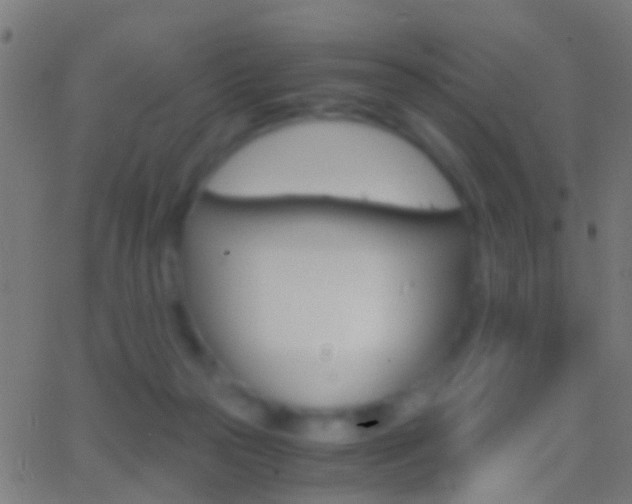 X0000062870169200601131020