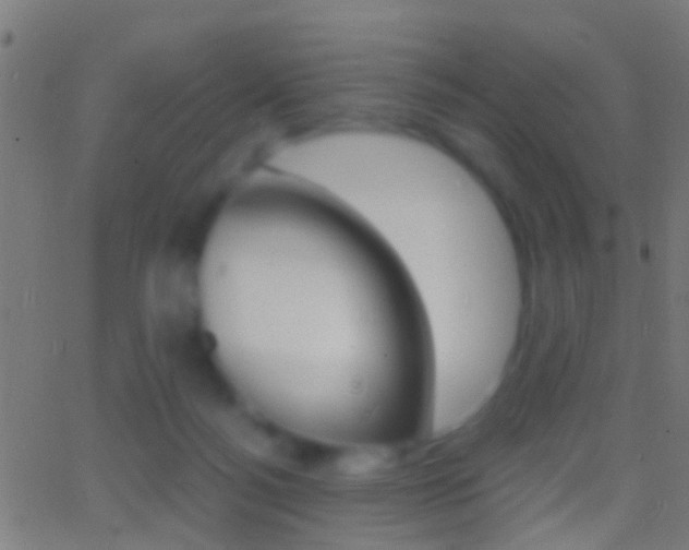 X0000062870172200601131020