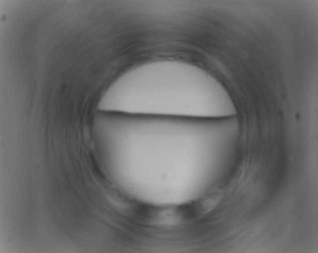 X0000062870173200601131020