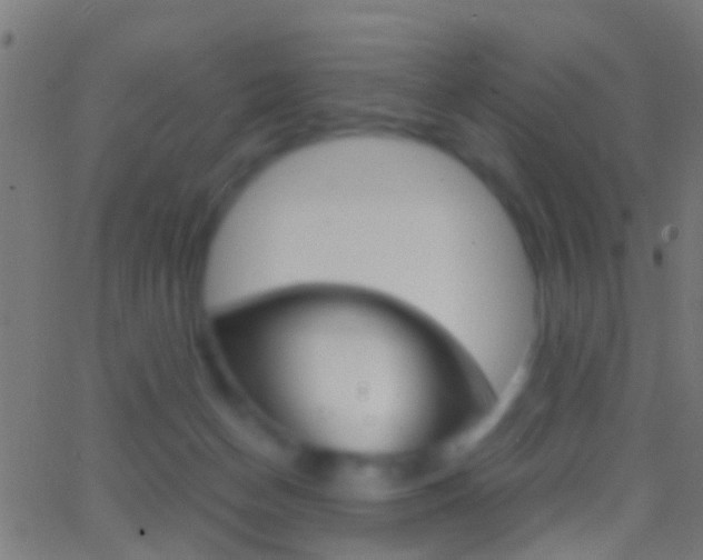 X0000062870174200601131020