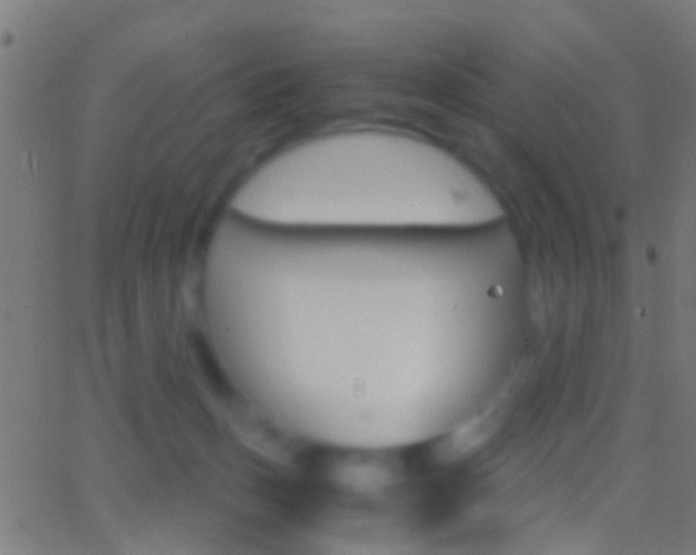 X0000062870175200601131020