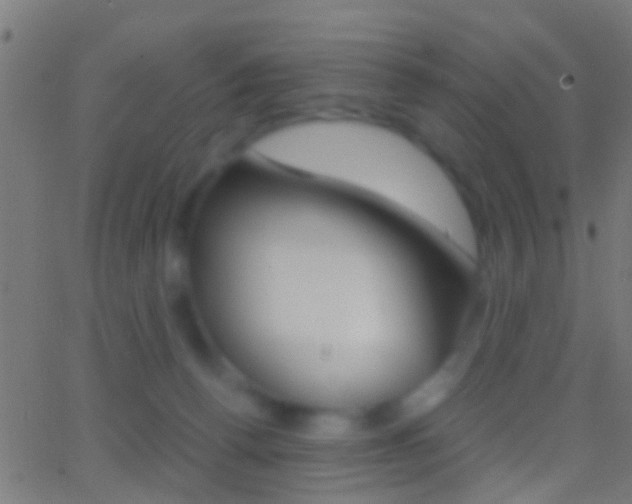 X0000062870176200601131020