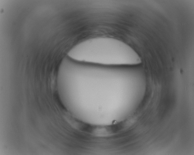 X0000062870177200601131020