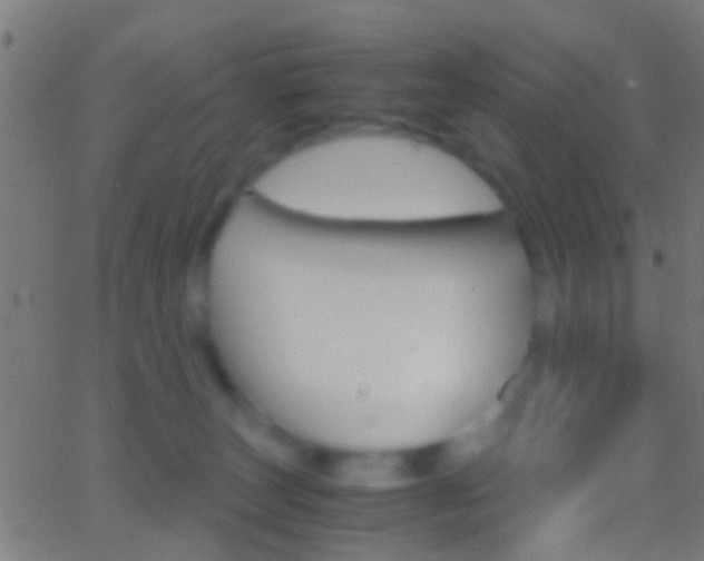 X0000062870179200601131020