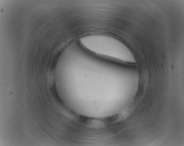 X0000062870180200601131020