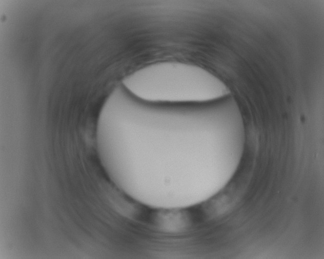 X0000062870181200601131020