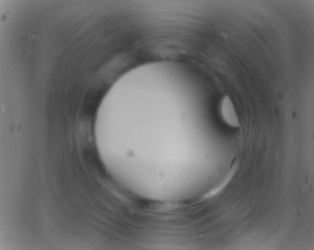 X0000062870182200601131020