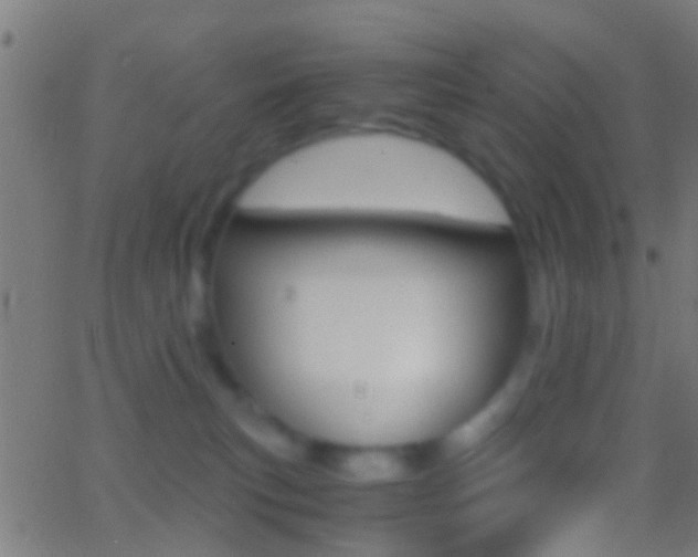 X0000062870183200601131020