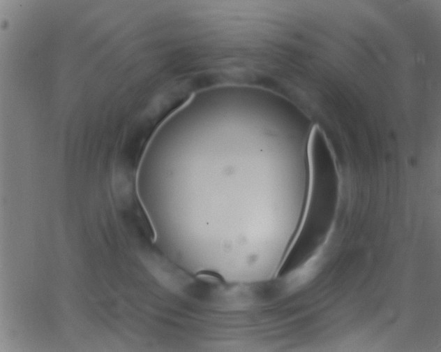 X0000062870186200601131020