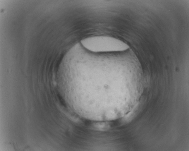 X0000062870187200601131020