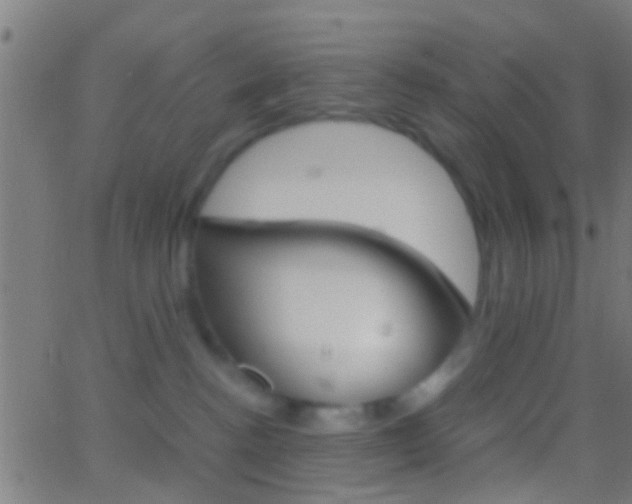 X0000062870188200601131020