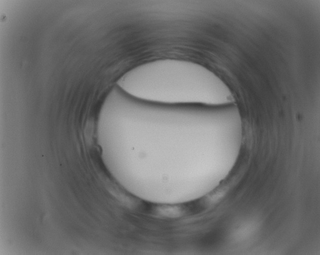 X0000062870189200601131020