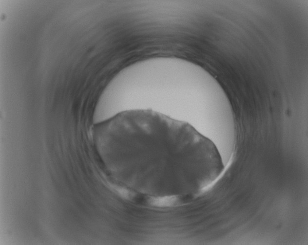 X0000062870191200601131020