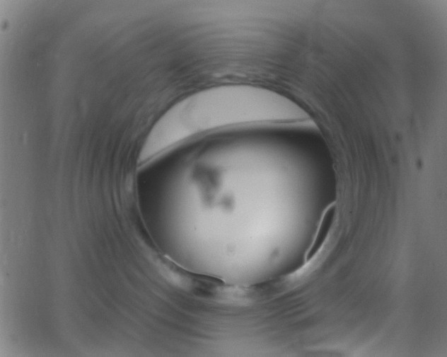 X0000062870192200601131020