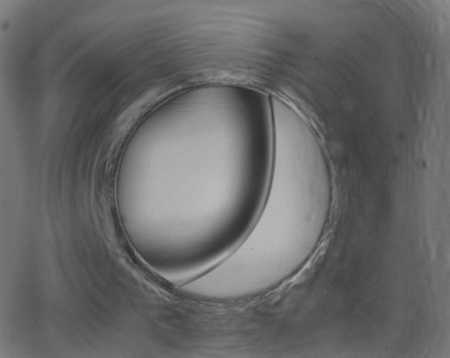 X0000062870193200601131019