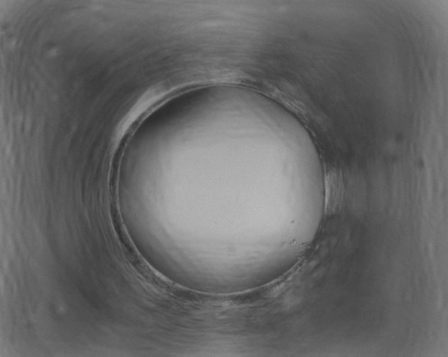 X0000062870195200601131019