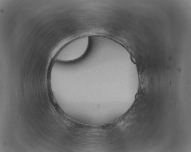 X0000062870196200601131019