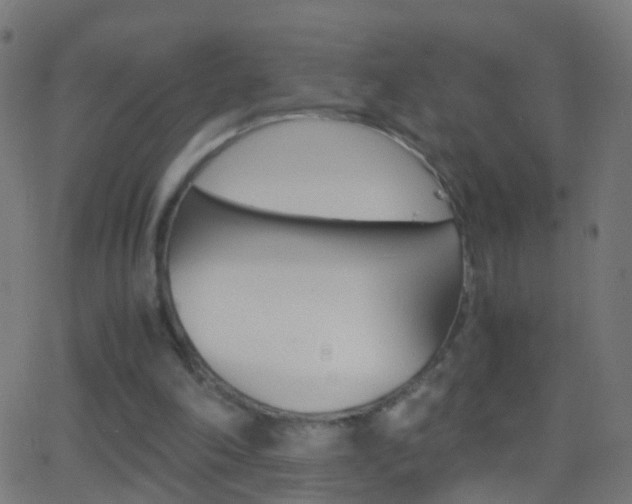 X0000062870198200601131019