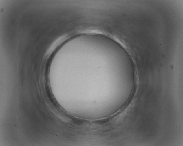 X0000062870199200601131019