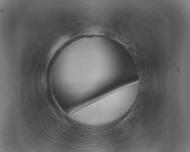 X0000062870200200601131019