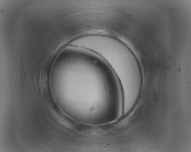 X0000062870201200601131019