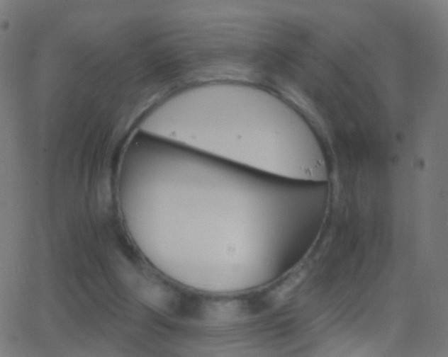 X0000062870202200601131019